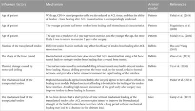 Strategies to promote tendon-bone healing after anterior cruciate ligament reconstruction: Present and future